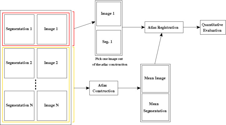 Leave-One-Out process for atlas cosntruction evaluation